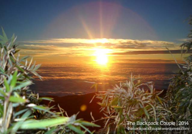 188392_10150123548897710_4841950_n