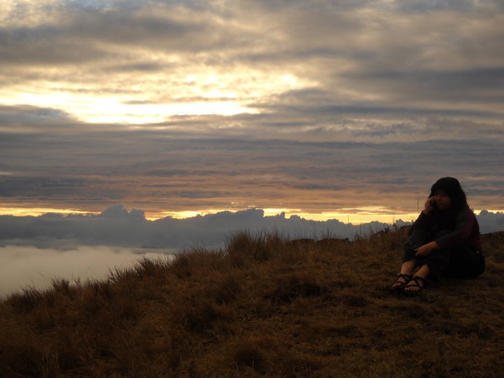 197255_10150123412202710_7727518_n