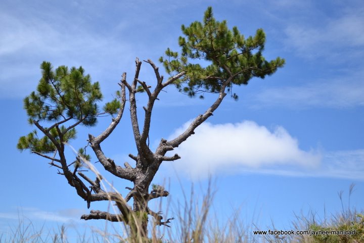 198099_10150121685717671_8162622_n