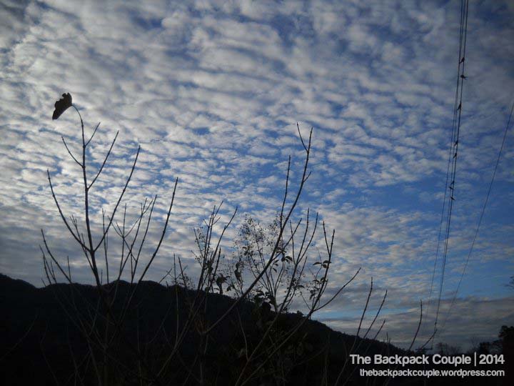 198382_10150123347117710_6325857_n