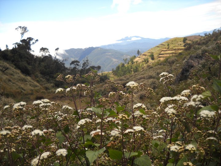 198547_10150123400577710_20139_n