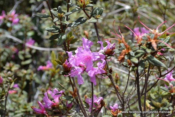 200633_10150121686297671_326508_n