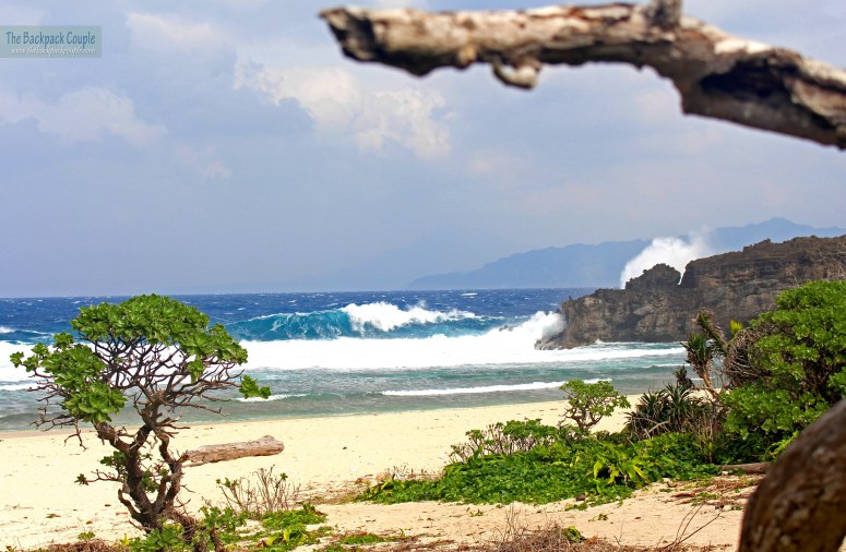 IMG_8230_with watermark