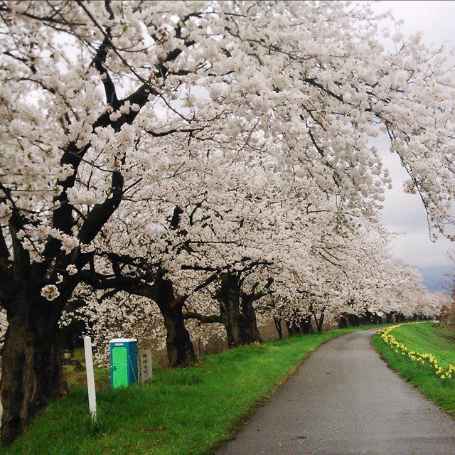 11150742_10204583615525423_2405094656825416702_n