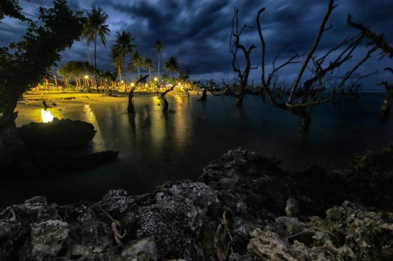 551440_889604181079452_8662490148715369775_n