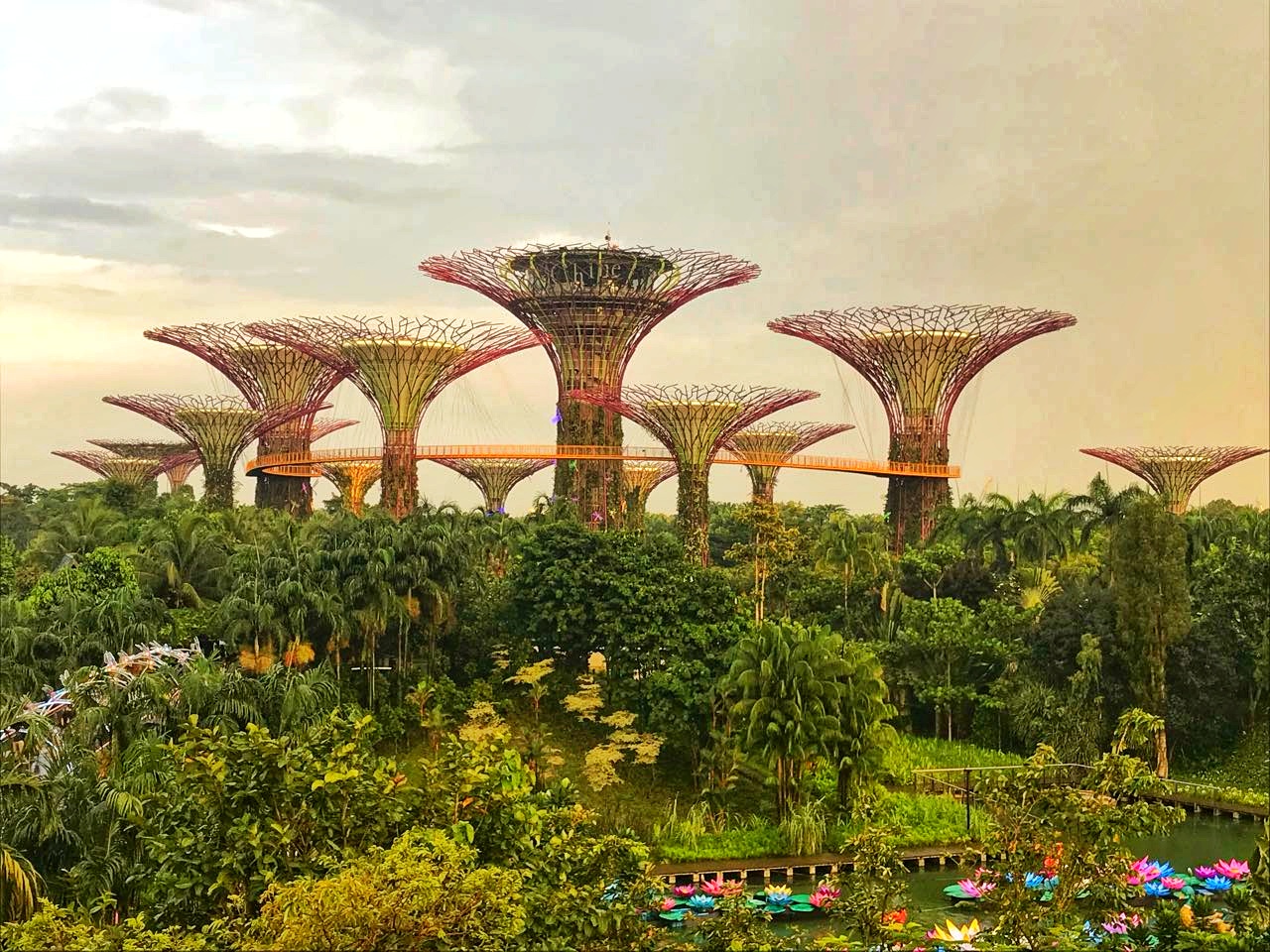 IMG-5abbea209ad8f8315b154814b5c68ea7-V-01